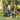 Person playing with dog on Hiboy U2 Pro Electric Scooter in a park setting, showcasing its fat tires and comfort features.