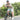 Man in a helmet riding the Hiboy C1 Folding E-Bike on a sunny urban path, showcasing its portability and style.
