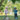 Kids wearing helmets riding Hiboy electric scooters in a park, promoting safe outdoor fun for ages 4-8.