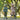 Two young children with helmets riding on electric scooters outdoors, enjoying a fun day in a park.
