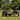 Electric scooter with fat tires and cargo storage parked on grass, surrounded by greenery and city background.