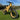 Rundeer Attack10 Off Road Electric Bike with powerful 1000W motor and 48V 20Ah battery, perfect for steep hill climbs.