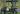TrailMaster Taurus 50EV 4-seat electric golf cart with full DOT light package on grassy field