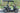TrailMaster Taurus 50EV 4-seat electric golf cart with 60V motor, off-road tires, and DOT light package in a park setting.