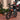 Man riding a vintage-style Prowler Cafe' Racer Ebike in an urban setting with greenery and brick pavement.